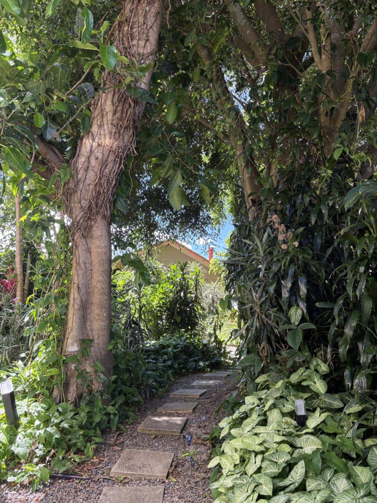 马莱尼露台小屋汽车旅馆 外观 照片